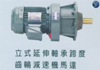 仲益大齒輪減速機(jī)