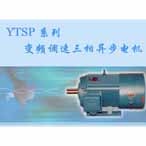 YTSP系列變頻調(diào)速三相異步電機