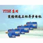 YTSZ系列冶金及起重用三相異步電機