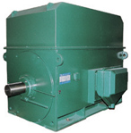 YTM、YHP、YMPS系列6KV磨煤機(jī)用電動(dòng)機(jī)