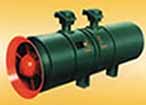 南方 FBD系列高壓隔爆型三相異步電動(dòng)機(jī)