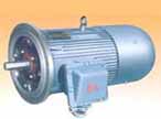 萬高 DSB系列隔爆型電動(dòng)機(jī)