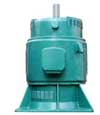 東方 YJL系列軸伸向上的立式鼠籠型三相異步電動機(jī)
