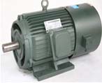 新特電機(jī) YLJF三相異步力矩電機(jī)