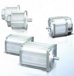 麥奇 稀土永磁無(wú)刷直流電動(dòng)機(jī)