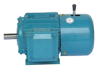 德驅(qū)馳 水洗機(jī)電機(jī) UAEJ
