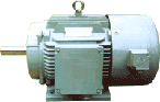 眾華TYP變頻調(diào)速電機(jī)