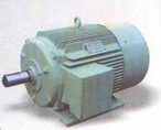 柳州佳力 Y2系列三相異步電動機