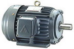 東元 低壓三相感應電動機（代理）