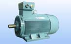永發(fā) Y2系列（IP54）三相異步電動機