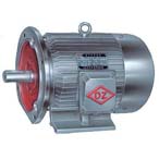 大中電機(jī) Y系列三相異步電動(dòng)機(jī)