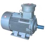 大中電機(jī) YB2系列三相異步電動(dòng)機(jī)