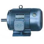 大中電機(jī) YDT系列異步電動(dòng)機(jī)