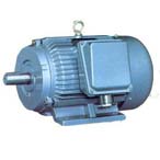 大中電機(jī) Y-H系列異步電動(dòng)機(jī)