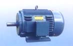 永發(fā)機電 NEMA標準高效三相異步電動機（143T-505T）