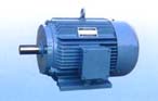 永發(fā)機(jī)電 YDT系列（IP44）風(fēng)機(jī)、泵用變極多速三相異步電動(dòng)機(jī)