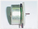 恒業(yè)欣 直流無刷電機系列 DCSF1612