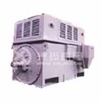 興瑪 6KV高壓三相異步電動機