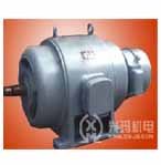 興瑪 JS/JR系列三相異步電動機(jī)