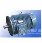 興瑪 SZY系列注塑機專用三相異步電動機