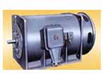 南方 YB560-800系列高壓隔爆型三相異步電動(dòng)機(jī)