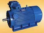 南方 YB400-450系列高壓隔爆型三相異步電動(dòng)機(jī)