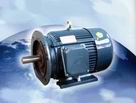 新微電機 YC（CO2）系列單相電容起動異步電動機