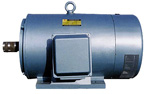 山東紅衛(wèi) Y315（IP23）三相異步電動(dòng)機(jī)