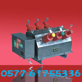 6/10202821