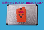 瑞安電子 RBK-6000手持式液氯探測(cè)報(bào)警器