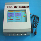 瑞安電子 RBK-6000一氧化碳泄露檢測(cè)探測(cè)器