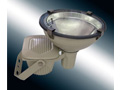 浙江溫州大浪電器生產(chǎn)供應(yīng)《防水防塵防震投光燈ZT6900》