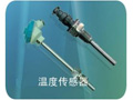 中瑞能 WZ系列工業(yè)用熱電阻