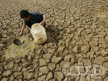 何時能給干涸的大地一片綠洲