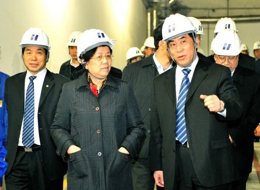 曹培璽陪同全國(guó)人大副委員長(zhǎng)陳至立到華能北京熱電廠調(diào)研