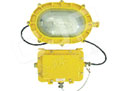 金牌電器 J-BFE8120內(nèi)場防爆應急燈