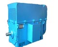臥龍電氣 YKK、YKS系列中型高壓三相異步電動(dòng)機(jī)