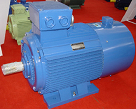 雙龍集團(tuán) YPT系列變頻調(diào)速三相異步電動(dòng)機(jī)