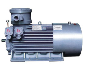 雙龍集團(tuán) YB2系列高壓隔爆型三相異步電動(dòng)機(jī)（H355～450）