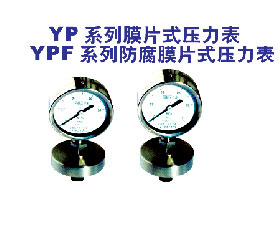 天彩康拓 YPF系列防腐膜片式壓力表