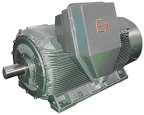 雙龍集團(tuán) YB2系列隔爆型低壓大功率三相異步電動(dòng)機(jī)