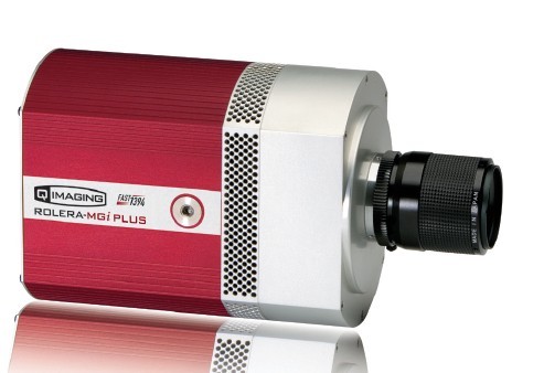 Rolera-MGi Plus—QImaging EMCCD科學(xué)相機(jī) （雷得興業(yè)代理）