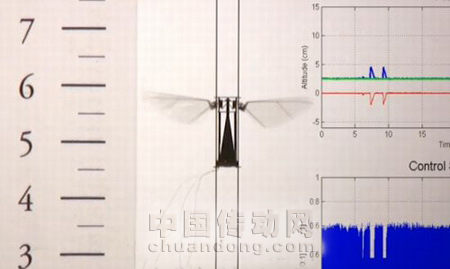 微型飛行機器人