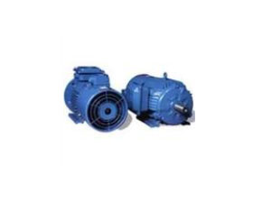 耐堅(jiān) YVP2變頻調(diào)速三相異步電動(dòng)機(jī)