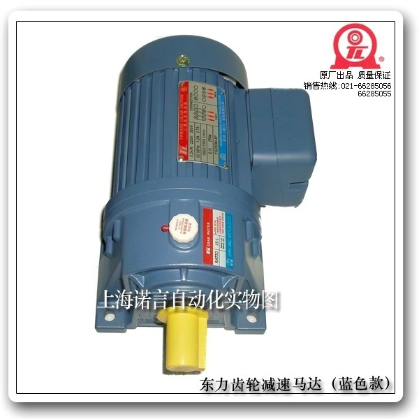 東力齒輪減速馬達(dá) （諾言自動(dòng)化代理）
