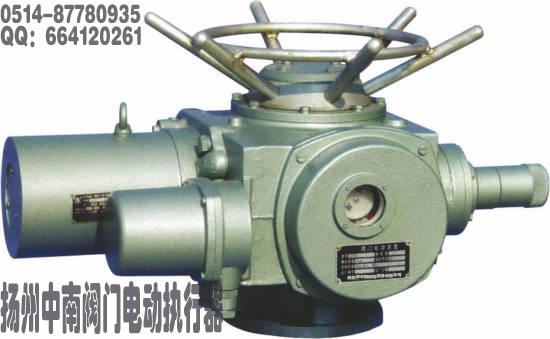 揚(yáng)州中南 DZW60-24-DS1閥門電動(dòng)執(zhí)行器